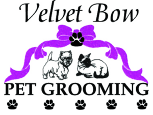 velvet bow